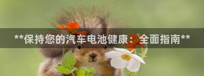 优发国际 干什么的