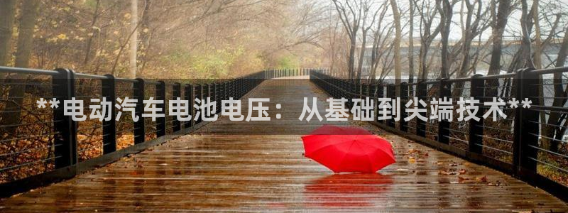 优发国际网官网