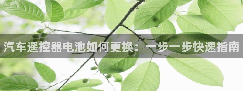 优发国际手机版网站下载