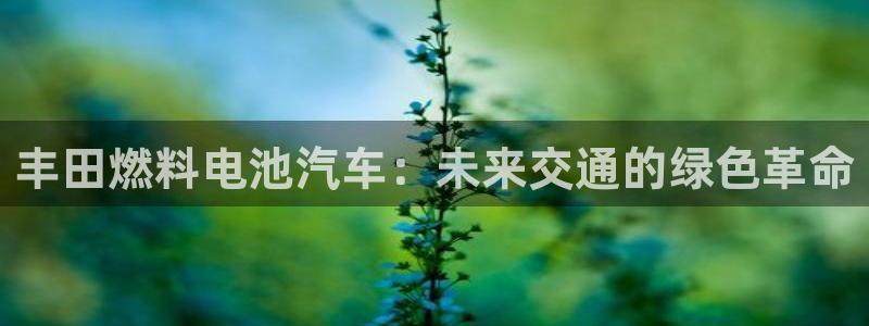 优发国际手机版唯一官网