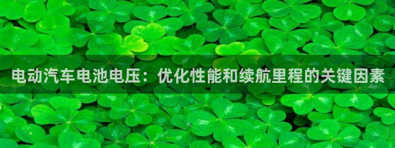 优发国际不出款怎么办