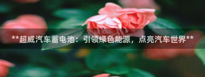 优发国际app