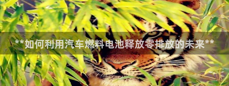 优发国际app官网下载安装苹果