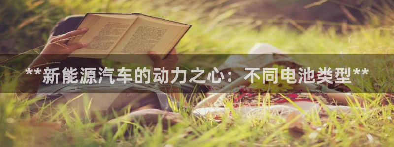 优发国际集团股份有限公司招聘
