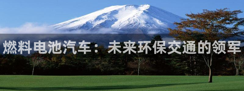 优发国际手机客户端下载安装手机版