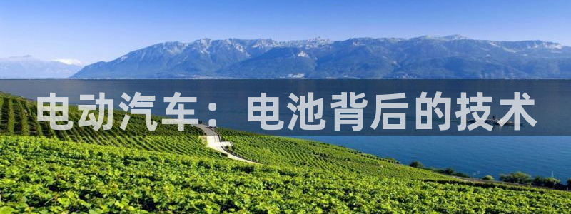 优发国际youfa