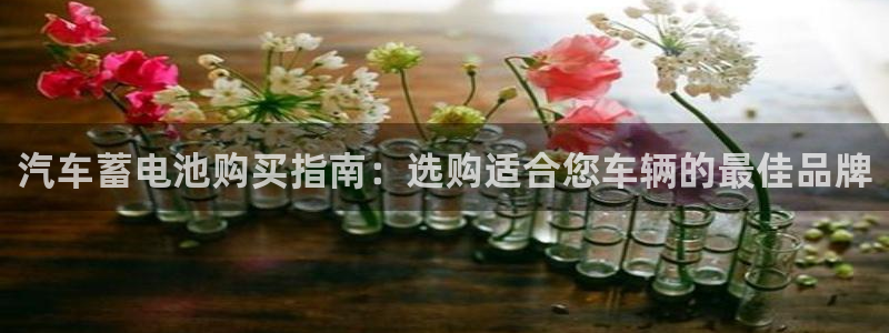 优发国际官方网手机版下载安卓