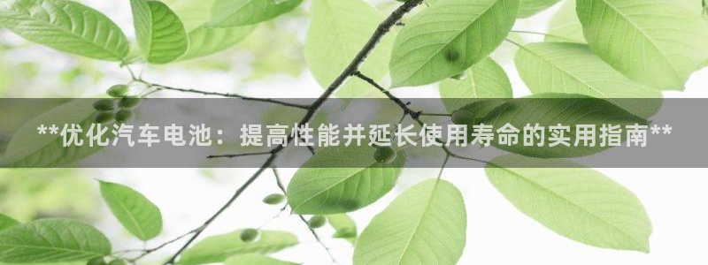 优发国际平台g8怎么样