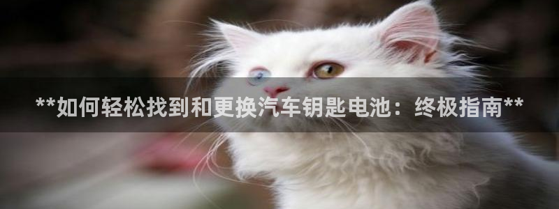 优发国际手机app下载安装官网
