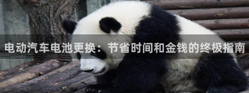 优发国际游戏17