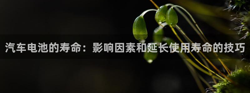 优发国际官方网手机版下载安装
