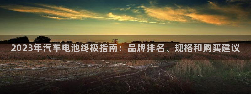 优发国际手机版网站登录：2023年汽车电池终极指南：品牌排名、规格和购买建议