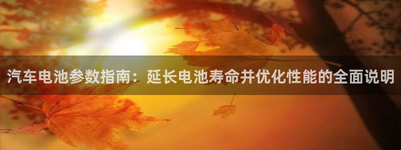 优发国际官方网平台