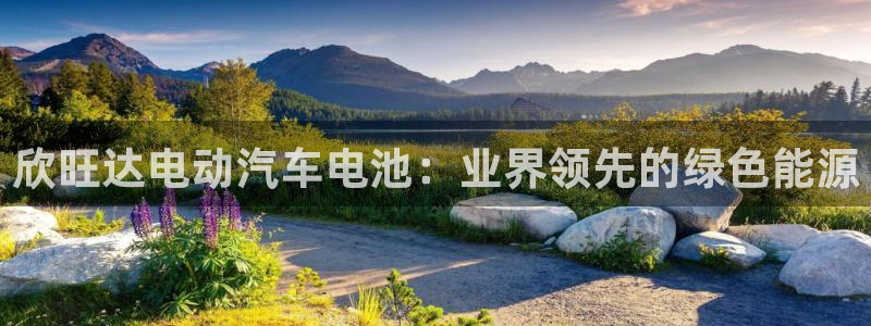 优发国际手机客户端下载安装