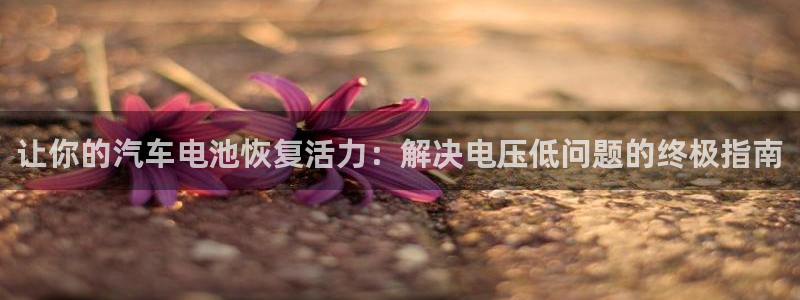 优发国际手机版网站
