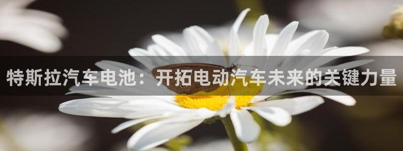 优发国际官网,首页