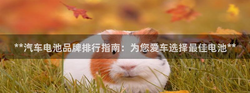 优发国际平台g8：**汽车电池品牌排行指南：为您爱车选择最佳电池**