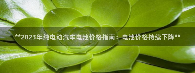 优发国际安卓版下载安装