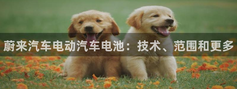 优发国际提现不了