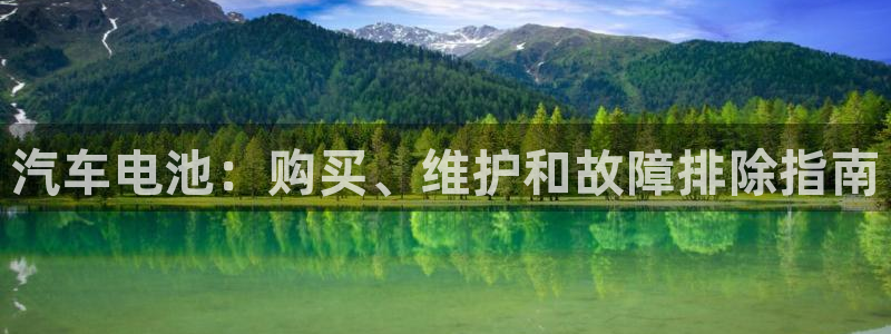 优发国际官网是多少号码：汽车电池：购买、维护和故障排除指南