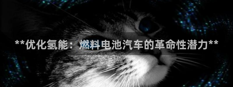 优发国际官网手机版入口