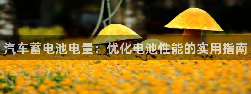 优发国际手机版客户端官网
