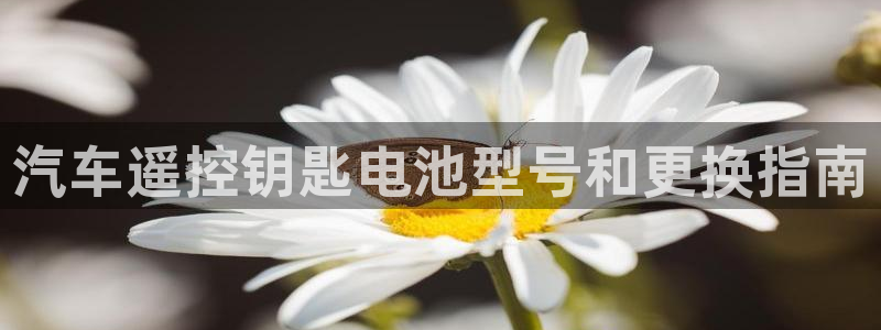 优发国际平台手机版下载