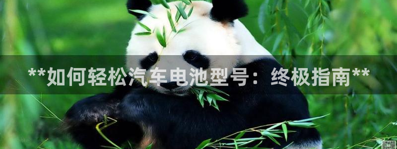 优发国际vip网址
