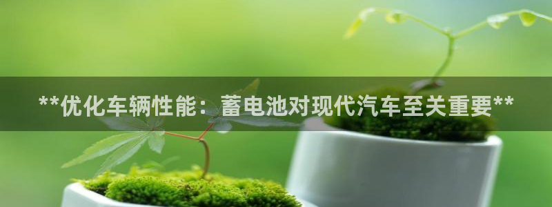 优发国际手机客户端下载安装苹果
