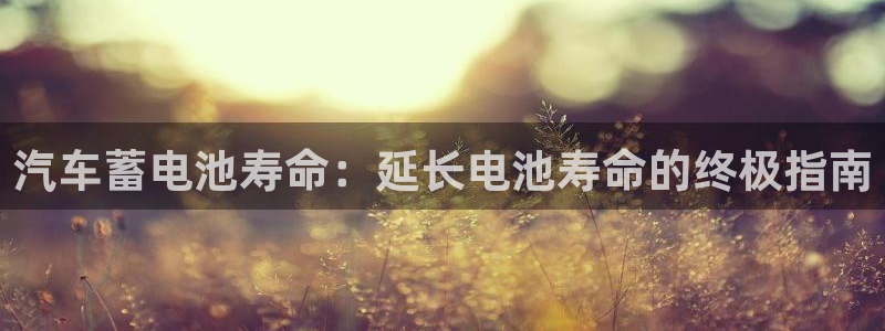 优发国际软件下载官网