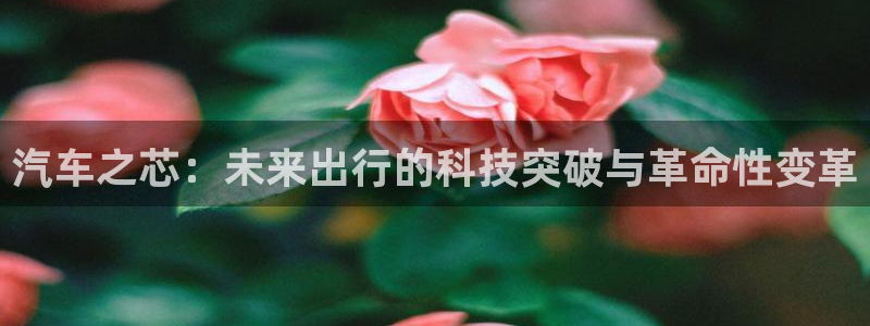 优发国际手机版官网下载