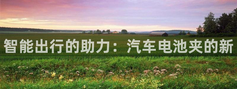 优发国际VIP网址：智能出行的助力：汽车电池夹的新