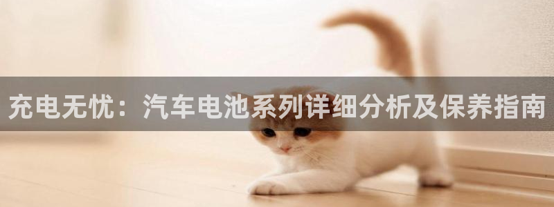 优发国际手机安装登录：充电无忧：汽车电池系列详细分析及保养指南