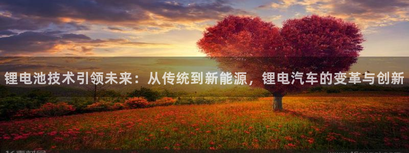 优发国际手机客户端下载安卓：锂电池技术引领未来：从传统到新能源，锂电汽车的变革与创新