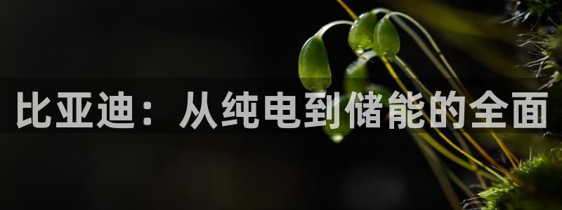 优发国际这个平台怎么样知乎