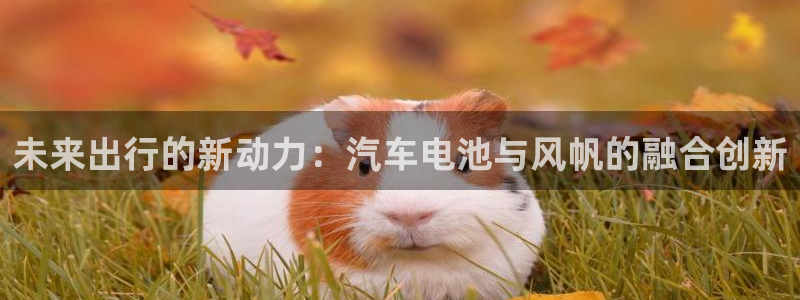 优发国际手机版官网下载