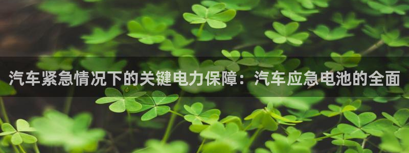 优发国际官方下载app