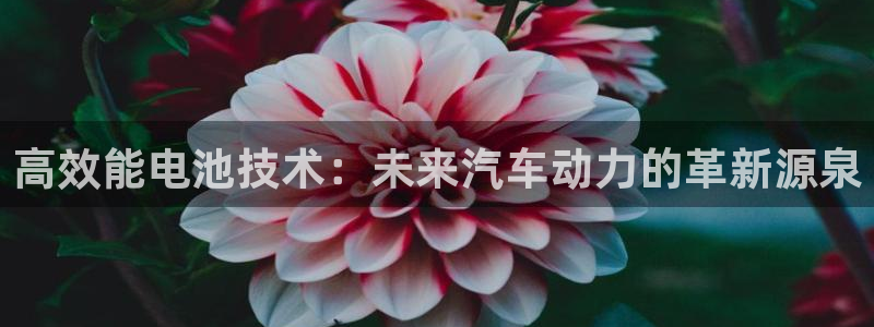 优发国际网站