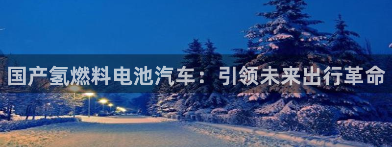 优发国际游戏n：国产氢燃料电池汽车：引领未来出行革命