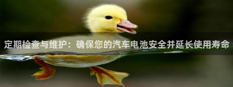 优发国际集团股份有限公司
