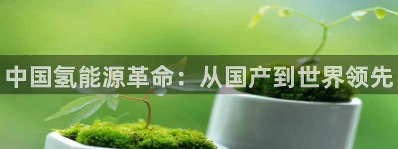 优发国际app