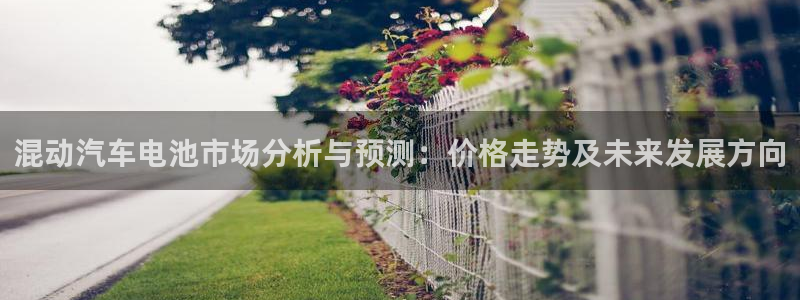 优发国际官网下载安装app：混动汽车电池市场分析与预测：价格走势及未来发展方向