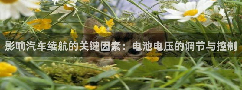 优发国际官方网