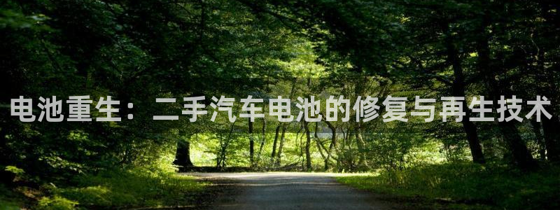 优发国际官网网站：电池重生：二手汽车电池的修复与再生技术