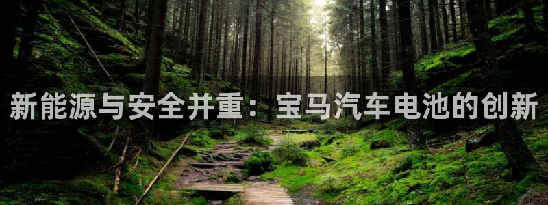 优发国际官方下载app：新能源与安全并重：宝马汽车电池的创新