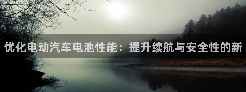 优发国际官方网手机版下载安装：优化电动汽车电池性能：提升续航与安全性的新