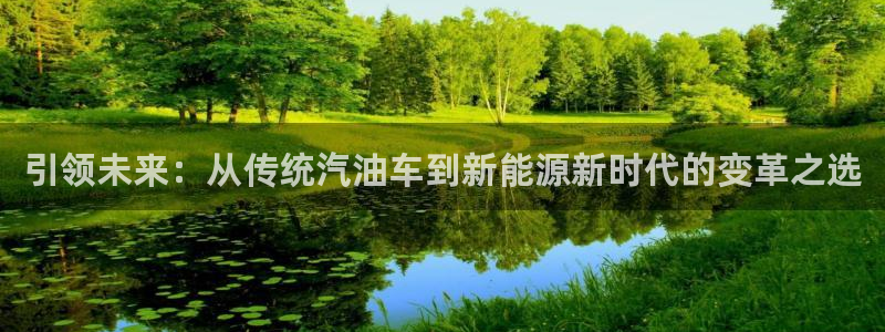 优发国际免费游戏下载：引领未来：从传统汽油车到新能源新时代的变革之选
