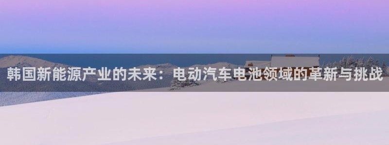 优发国际网站178：韩国新能源产业的未来：电动汽车电池领域的革新与挑战
