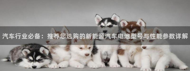 优发国际手机客户端怎么下载：汽车行业必备：推荐您选购的新能源汽车电池型号与性能参数详解