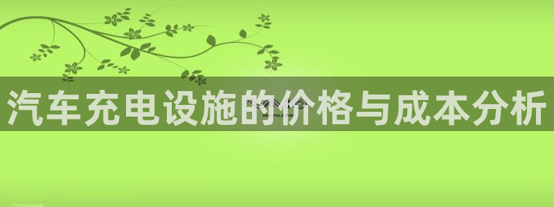 优发国际游戏：汽车充电设施的价格与成本分析